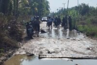 Bupati kabupaten Indragiri Hilir 