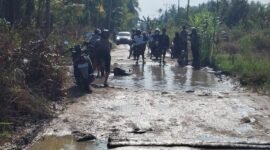 Bupati kabupaten Indragiri Hilir 