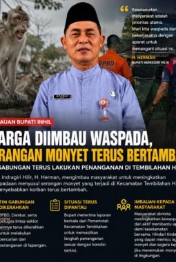 Bupati Inhil Imbau Warga Tingkatkan Kewaspadaan, Tim Gabungan Terus Tangani Serangan Monyet di Tembilahan Hilir